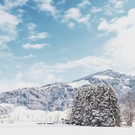 Privatzimmervermietung Foidlbauer 3* Oberndorf in Tirol