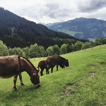 Nocleg ze śniadaniem Privatzimmervermietung Foidlbauer